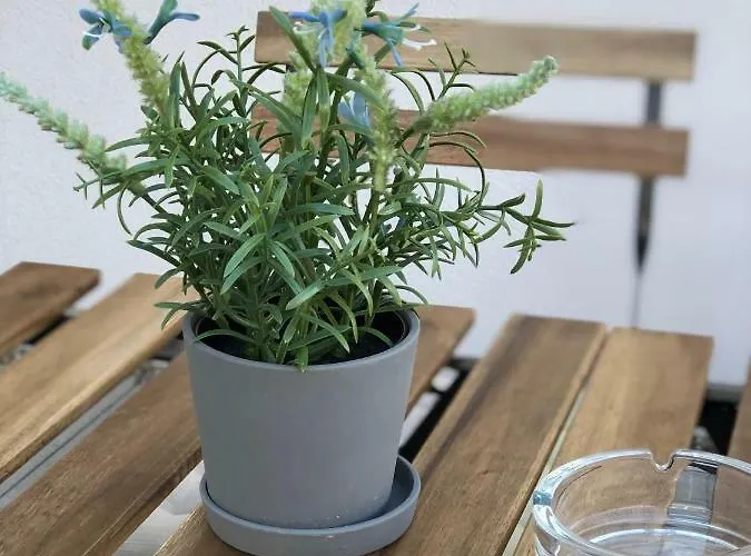 High 5 Апартаменты Грац